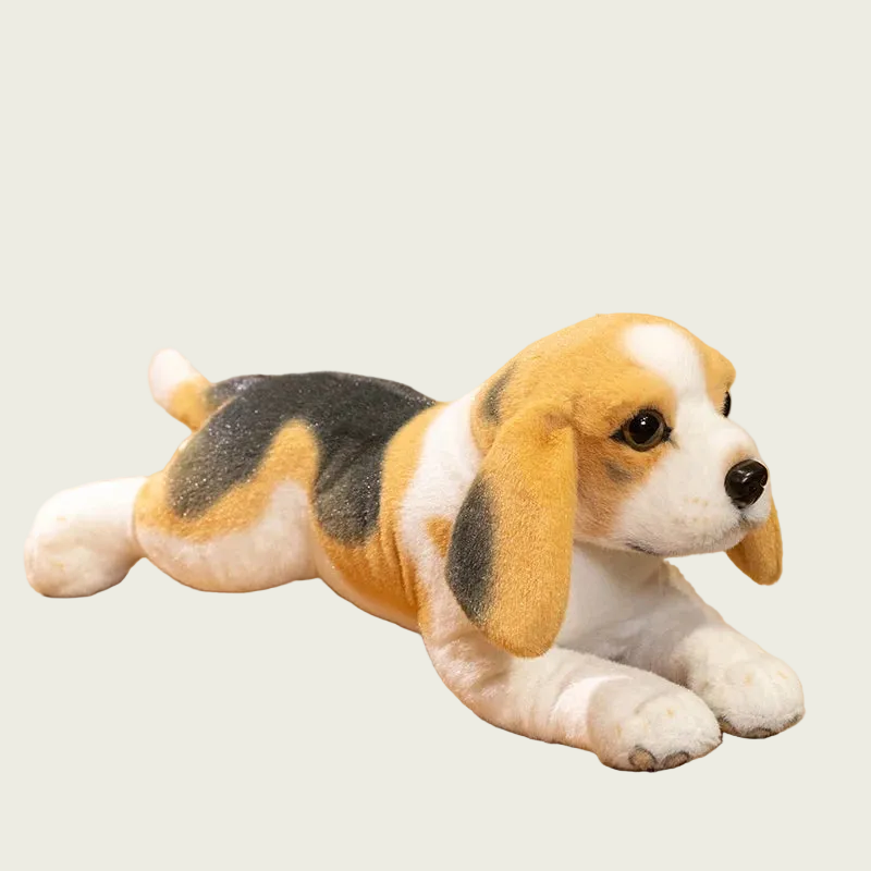 Beagle Puppy Anatomical Stuffed Animal