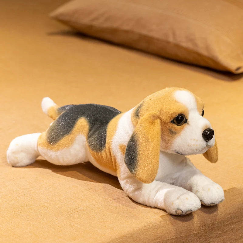 Beagle Puppy Anatomical Stuffed Animal