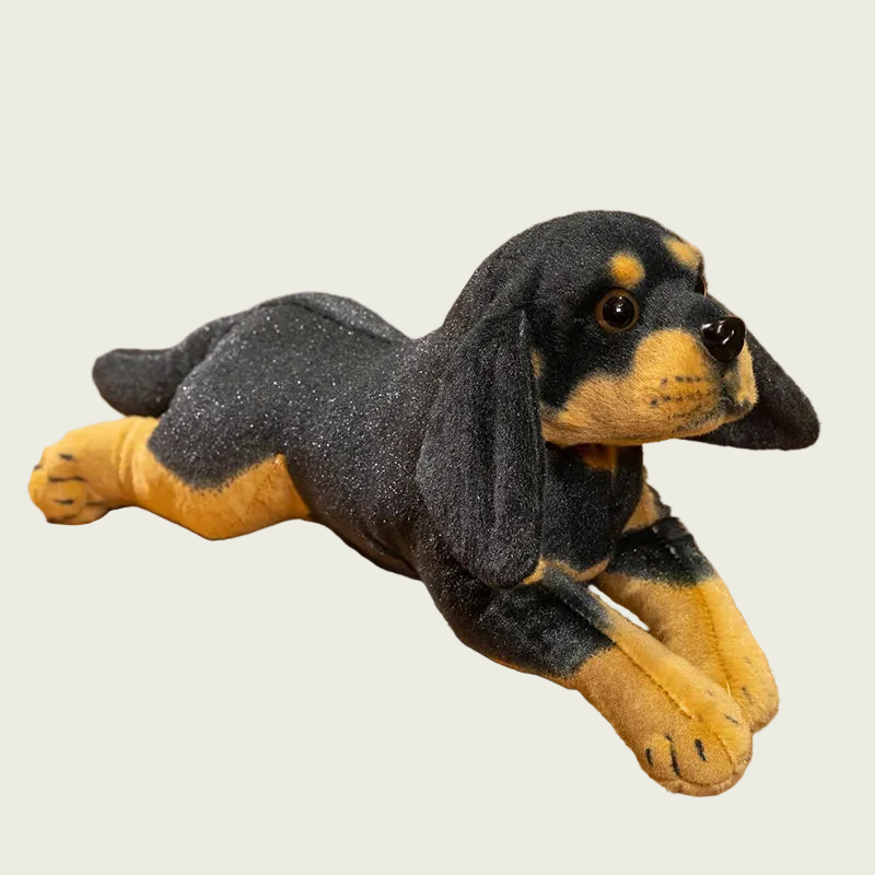 Rottweiler Puppy Anatomical Stuffed Animal