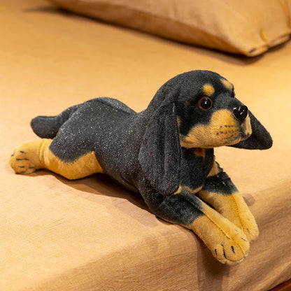 Rottweiler Puppy Anatomical Stuffed Animal
