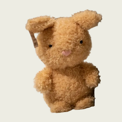 Bunny Furry Friend