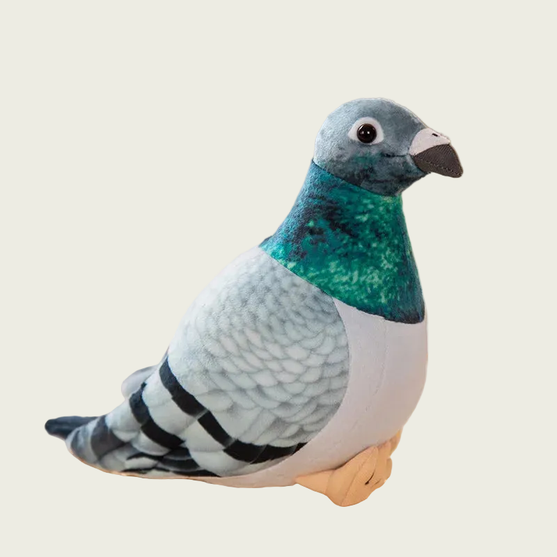NYC Pigeon Fine Feathered Friends
