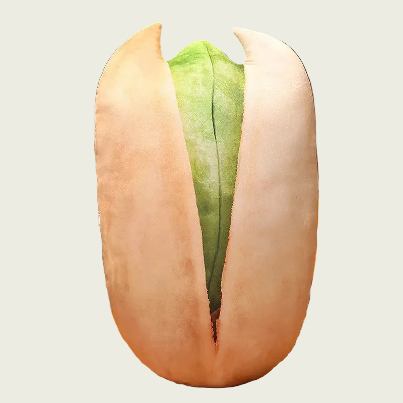 Pistachio Plush Cushion