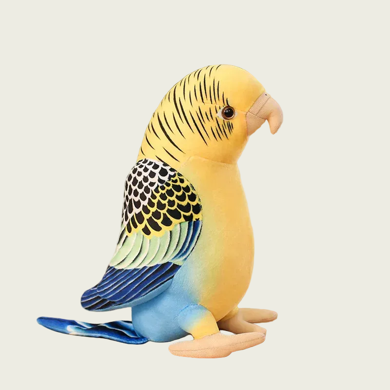 Parakeet Parrot Fine Feathered Friends