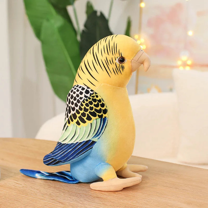 Parakeet Parrot Fine Feathered Friends