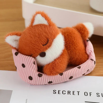 Baby Fox Sleeping in Bed