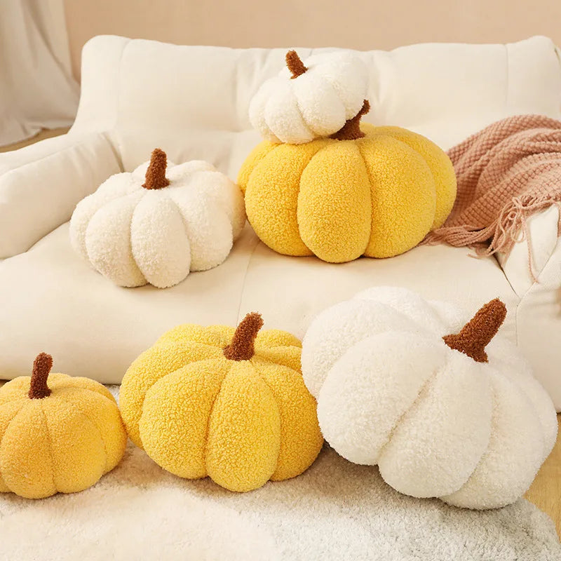 White Pumpkin Patch