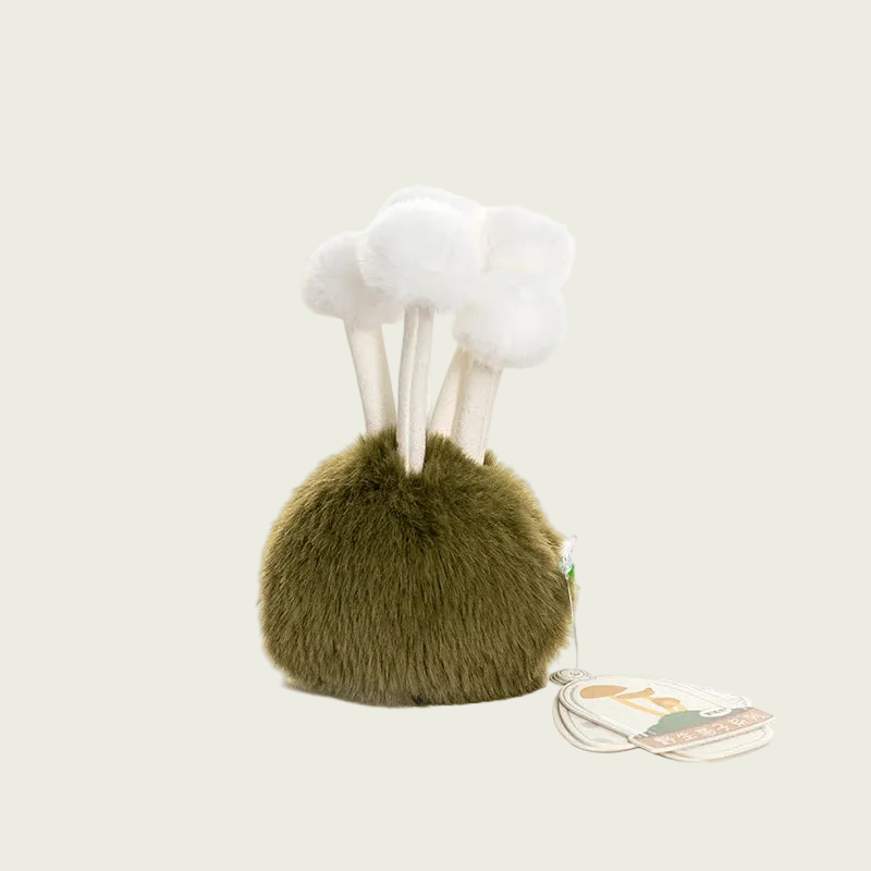 Enoki Mushroom from Fluffy Fungi