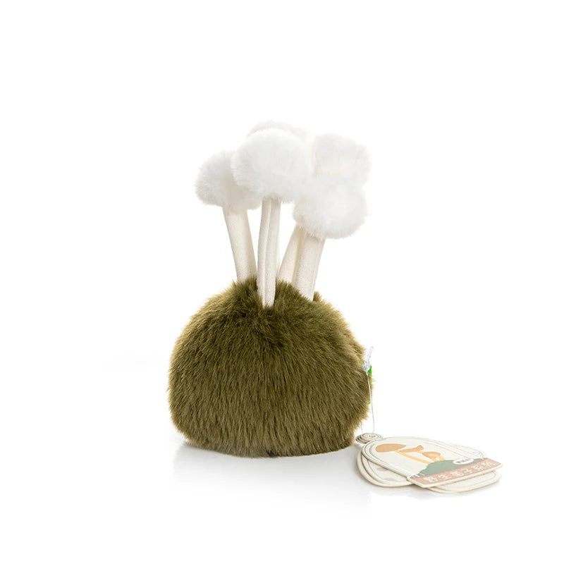 Enoki Mushroom from Fluffy Fungi