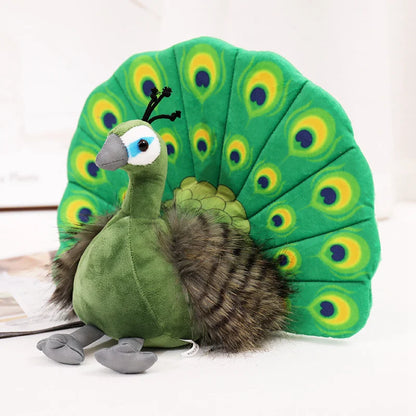 Asian Peacock Fine Feathered Friends