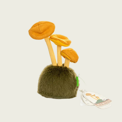 Porcini Mushroom from Fluffy Fungi