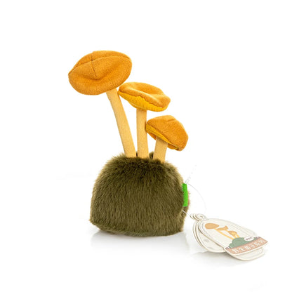 Porcini Mushroom from Fluffy Fungi