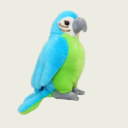 Military Macaw Fine Feathered Friends