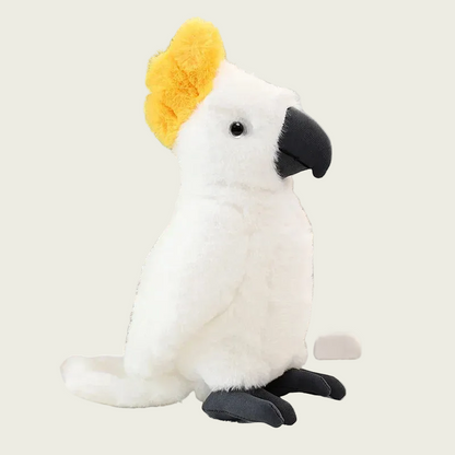 Cockatoo with Black Nose Fine Feathered Friends