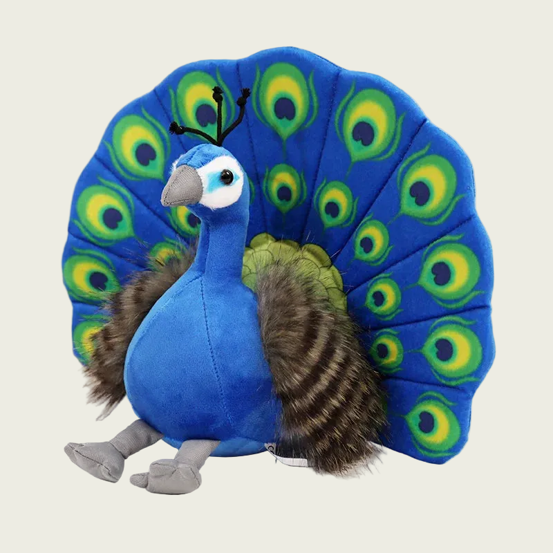 Indian Peacock Fine Feathered Friends