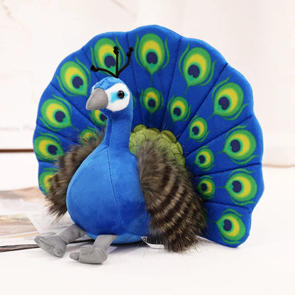Indian Peacock Fine Feathered Friends