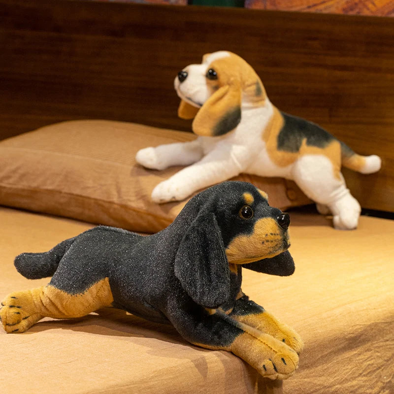 Beagle Puppy Anatomical Stuffed Animal