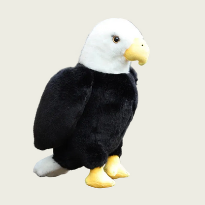 Bald Eagle Fine Feathered Friends