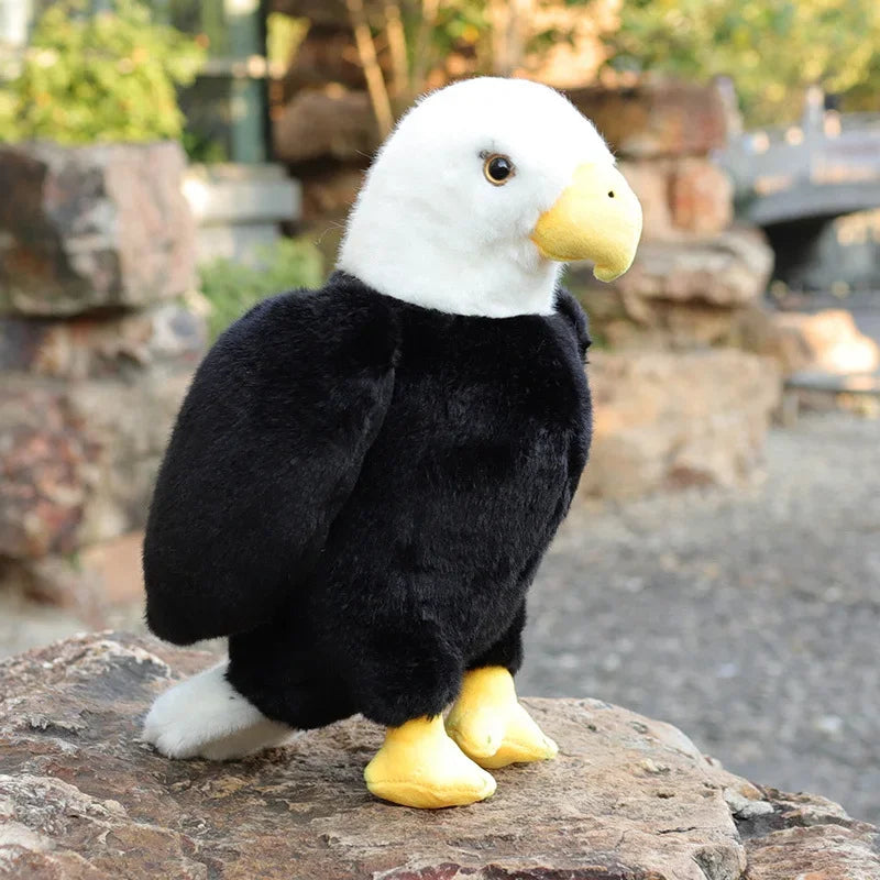 Bald Eagle Fine Feathered Friends