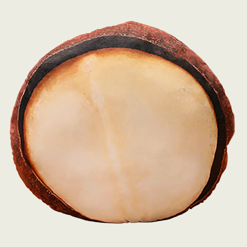 Macadamia Plush Cushion