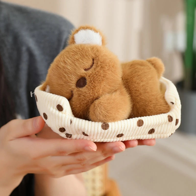 Baby Bear Sleeping in Bed