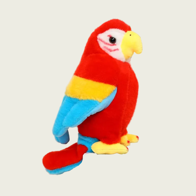 Scarlet Macaw Fine Feathered Friends