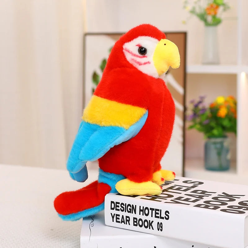 Scarlet Macaw Fine Feathered Friends