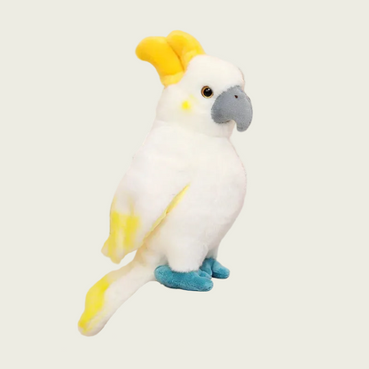 Cockatoo With Gray Nose Fine Feathered Friends
