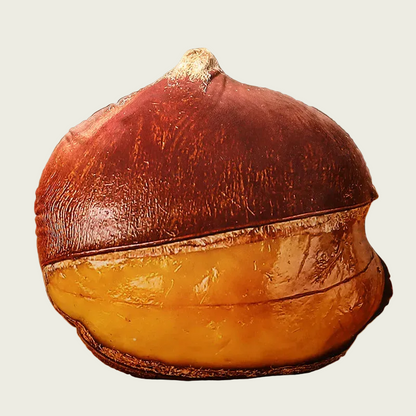 Chestnut Plush Cushion