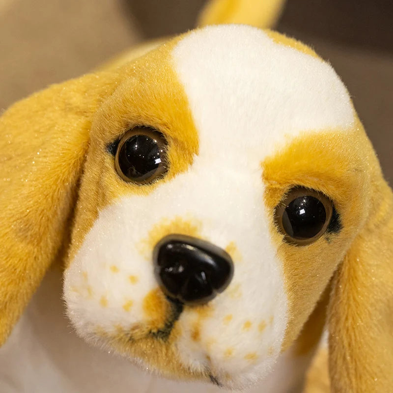 Cavalier King Charles Spaniel Puppy Anatomical Stuffed Animal