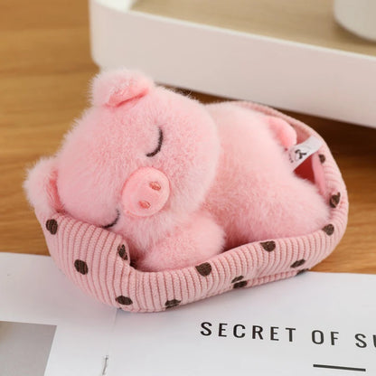 Baby Piglet Sleeping in Bed
