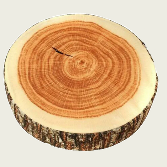 Cross-section of a tree trunk showing annual rings on a light gray background